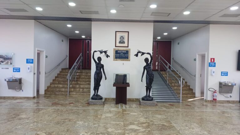 WhatsApp Image 2025-11-14 at 11.33.43